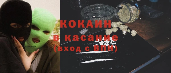 гидра Магас