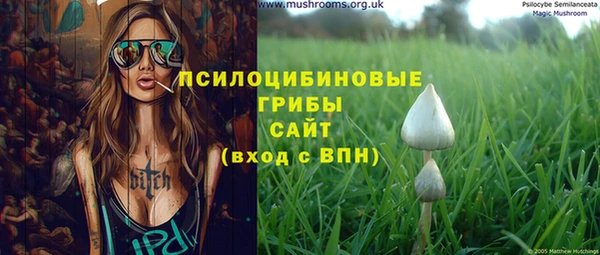 гидра Магас