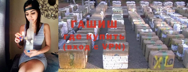 гидра Магас