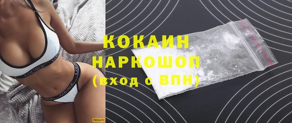 гидра Магас